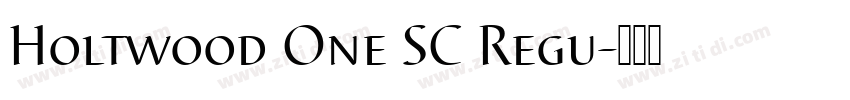 Holtwood One SC Regu字体转换